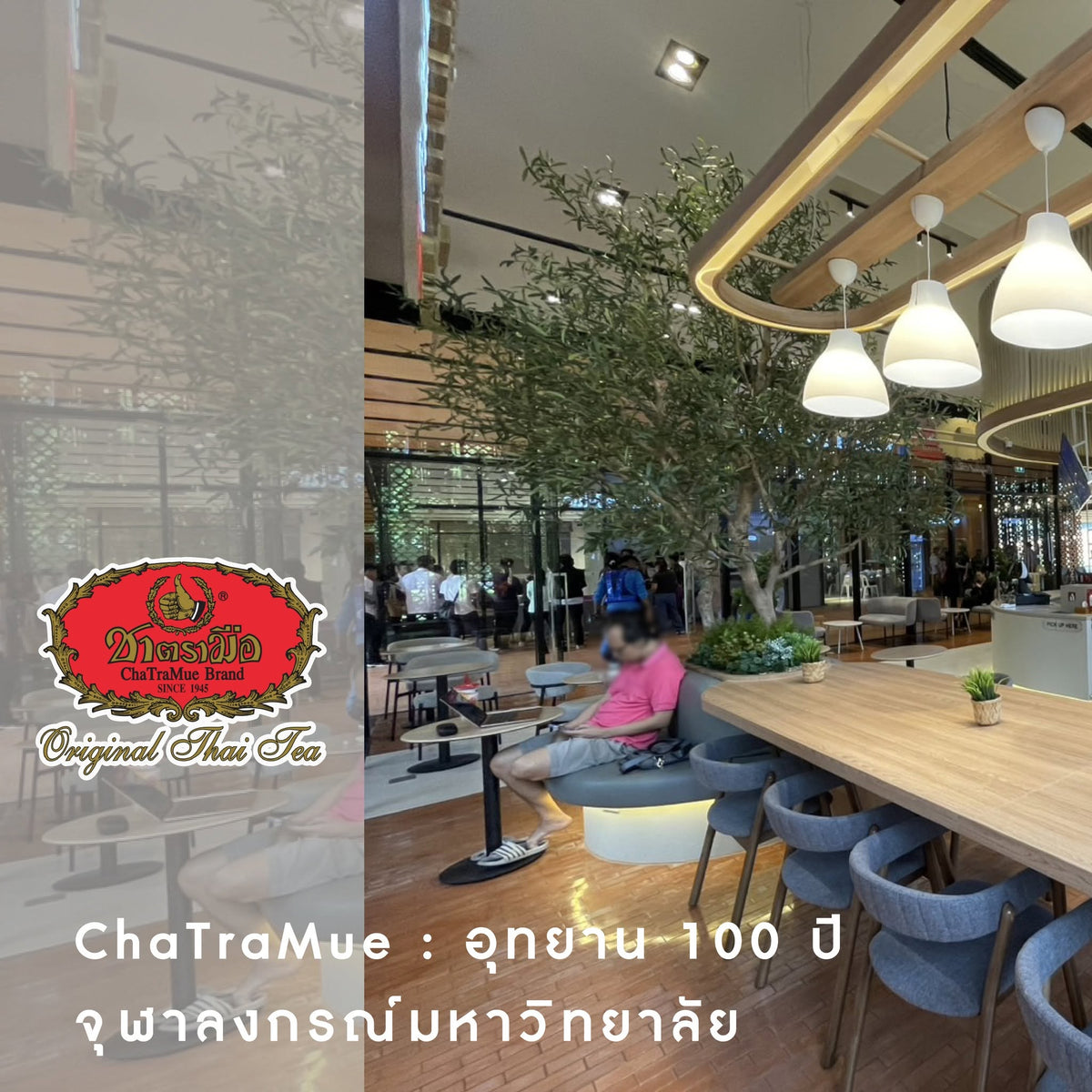 ChaTraMue Chulalongkorn 100 Years Park